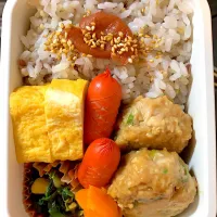 Snapdishの料理写真:今日のお弁当🍙|hiyokology_a9さん