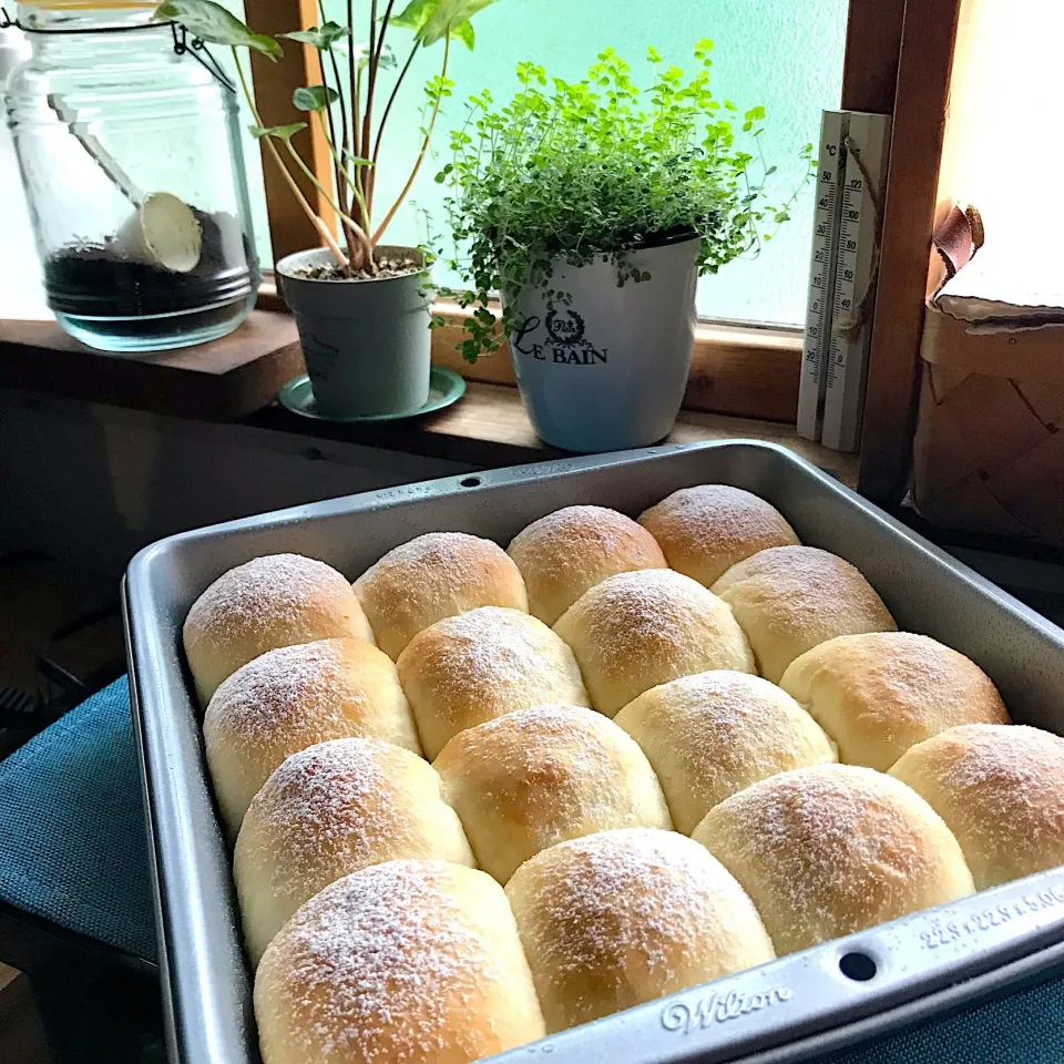 HBではちみつ♪ミルクちぎりパン by milk＊crown|Sachiyo Tanakaさん