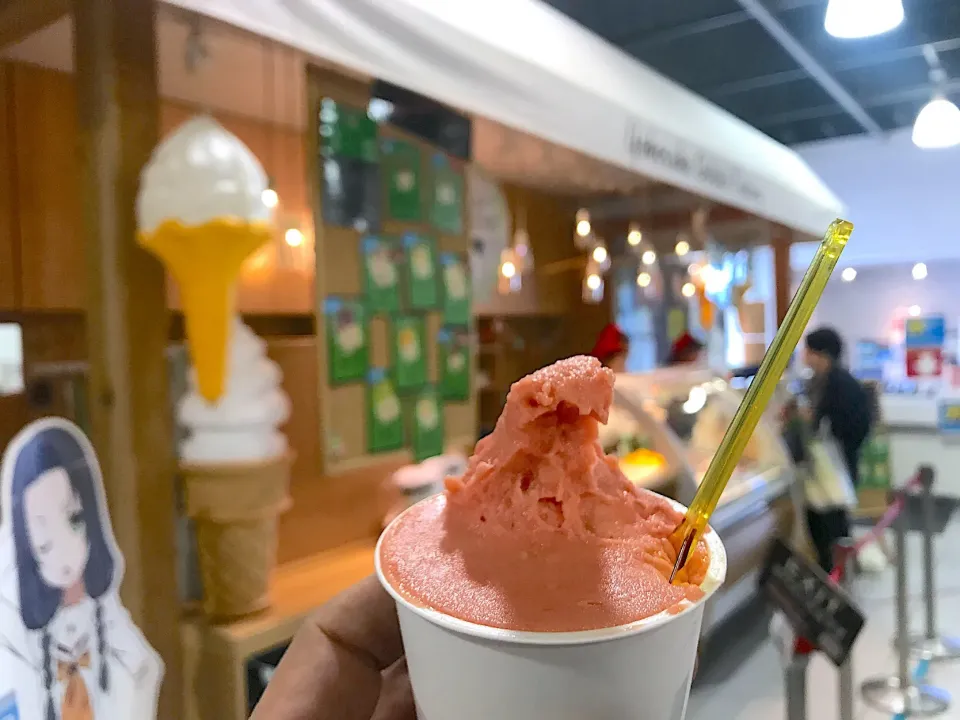 買い物後のジェラート🍦|wildcat山猫さん