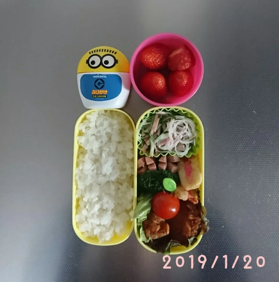 Snapdishの料理写真:おべんとう|little waltzさん