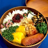 Snapdishの料理写真:お弁当|kachiyamaさん