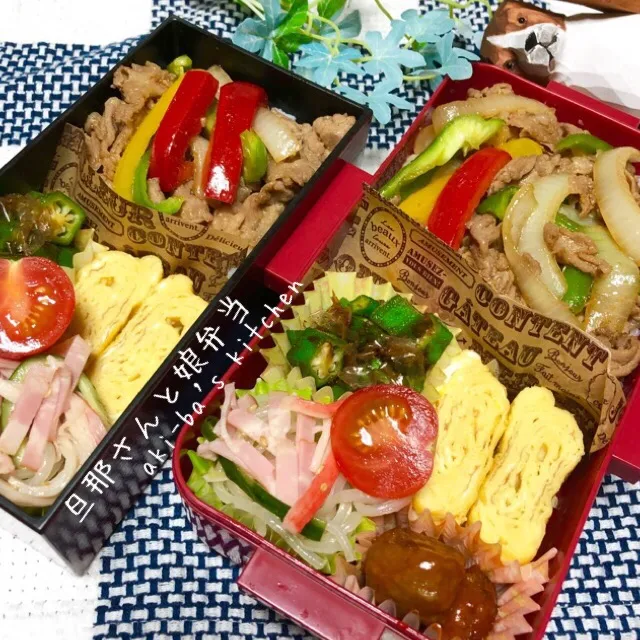 Snapdishの料理写真:旦那さんと娘弁当1/21|アキーバさん