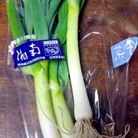 Snapdishの料理写真:ローソンのロピックの湘南野菜セットに入っていた葉にんにくというもの

にんにくの成長過程のものらしいです！

炒め物とかスープにしたらいいということです！|アイーダさん