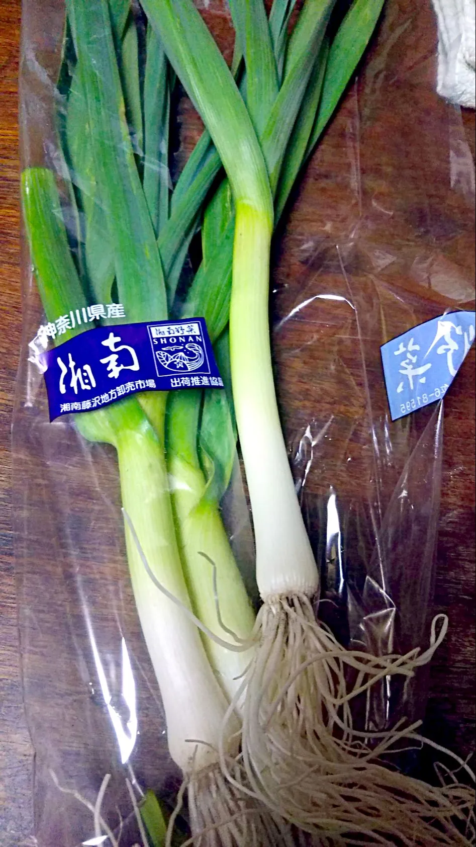 ローソンのロピックの湘南野菜セットに入っていた葉にんにくというもの

にんにくの成長過程のものらしいです！

炒め物とかスープにしたらいいということです！|アイーダさん