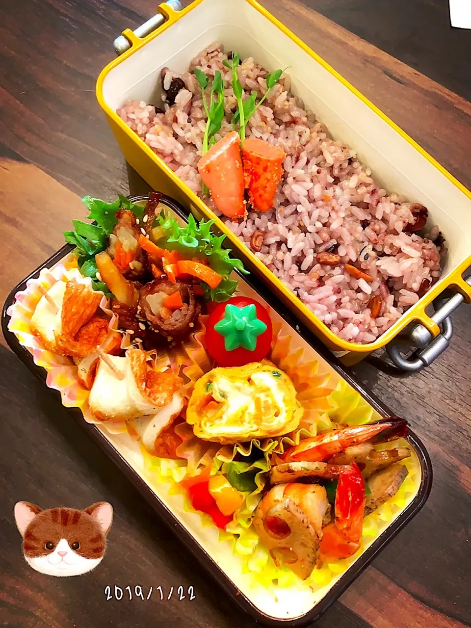 ぱぱさん弁当ｯ😺|*w*tomomi🐾🐾🐾さん