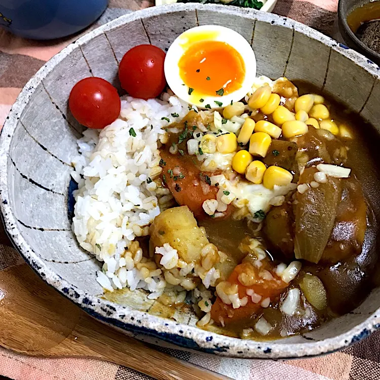 カレー|あさかさん