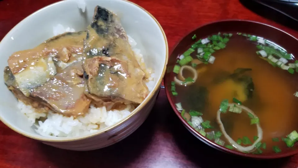 Snapdishの料理写真:鯖の味噌煮丼|Morito Kamiyaさん