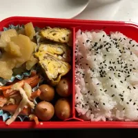 じゃがいもの煮っころがし
卵焼き
ウィンナーの塩コショウ焼き
ささみとにんじんとキャベツのサラダ|志帆さん