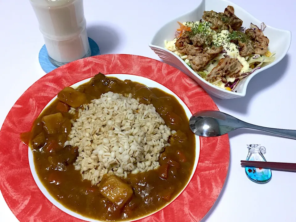 今宵は、もち麦カレー🍛
#もち麦カレー
#豚焼肉サラダ|Kojiさん