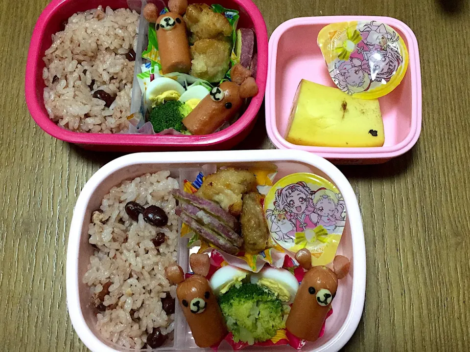 1月24日姉妹の幼稚園お弁当|おにぎりさん