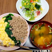 1/22三色丼😋|白石順子さん