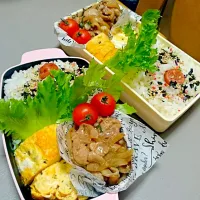 Snapdishの料理写真:自分用＆息子のお弁当|Toumanさん