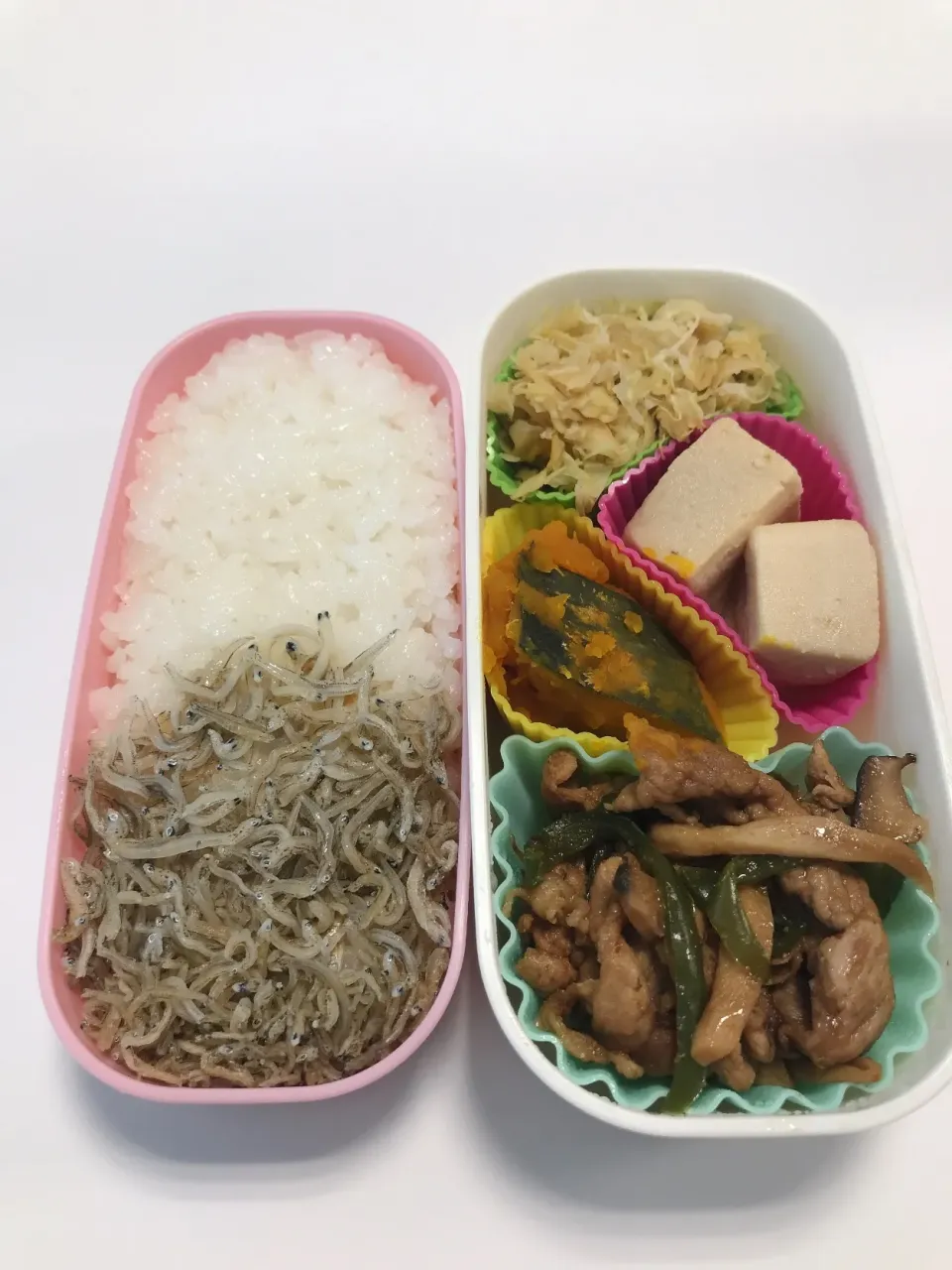 Snapdishの料理写真:今日のお弁当
 #お弁当  #じゃこ  #肉炒め  #かぼちゃ  #高野豆腐  #キャベツ|もんたさん