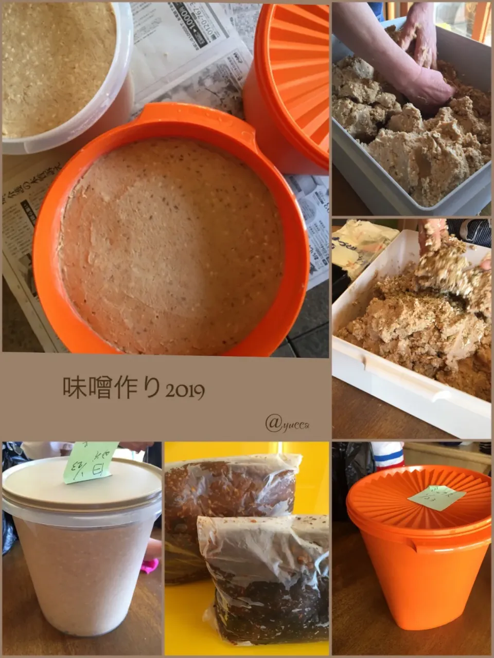 Snapdishの料理写真:お味噌作り2019|yucca@さん