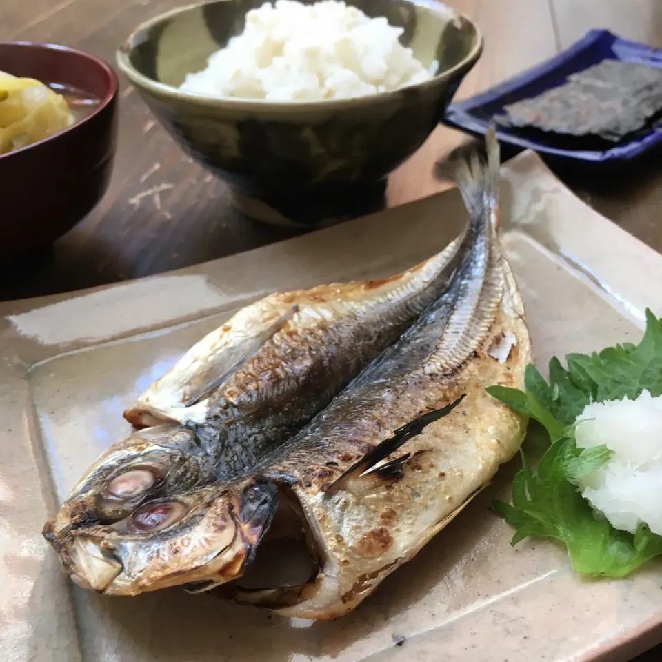 鯵の干物で朝ごはん🐟🍚🥢|七海さん