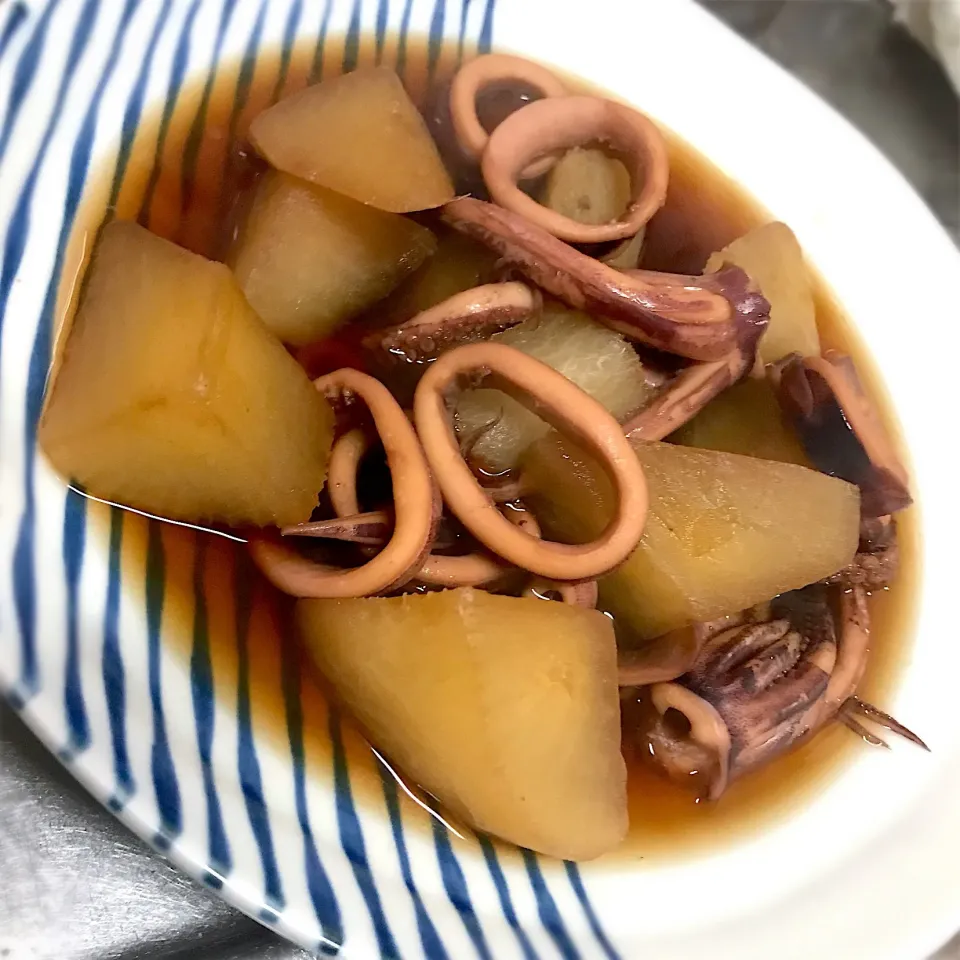 大根とイカの煮物|まみもちおさん