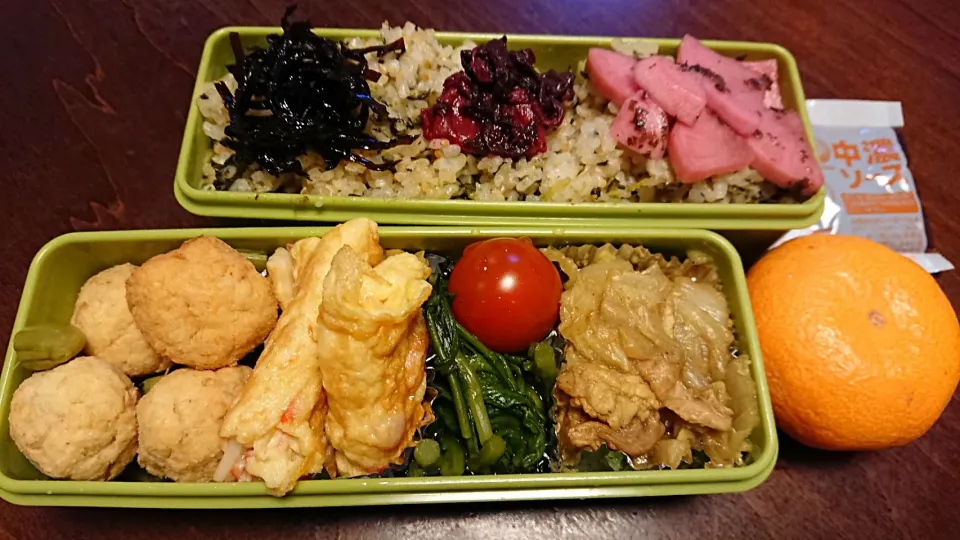 Snapdishの料理写真:おからボール弁当
 #今日のお弁当|りょーさん