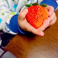 でっかいいちご🍓