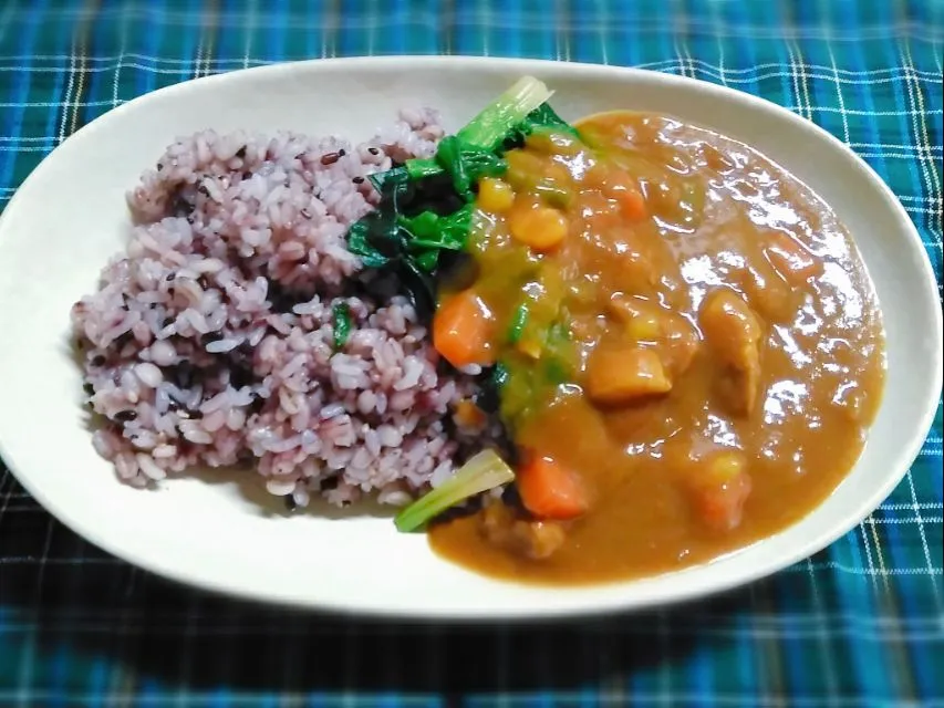 ほうれん草トッピング♡カレーライス|花ママさん