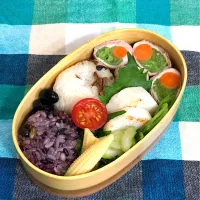 Snapdishの料理写真:本日のお弁当（2019/01/29）|のっちさん