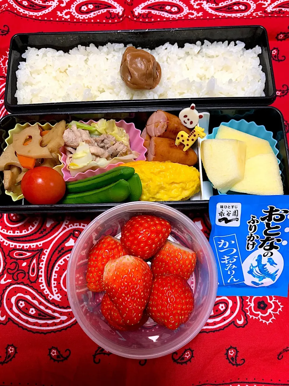 娘のお弁当1/29|iguigupopさん