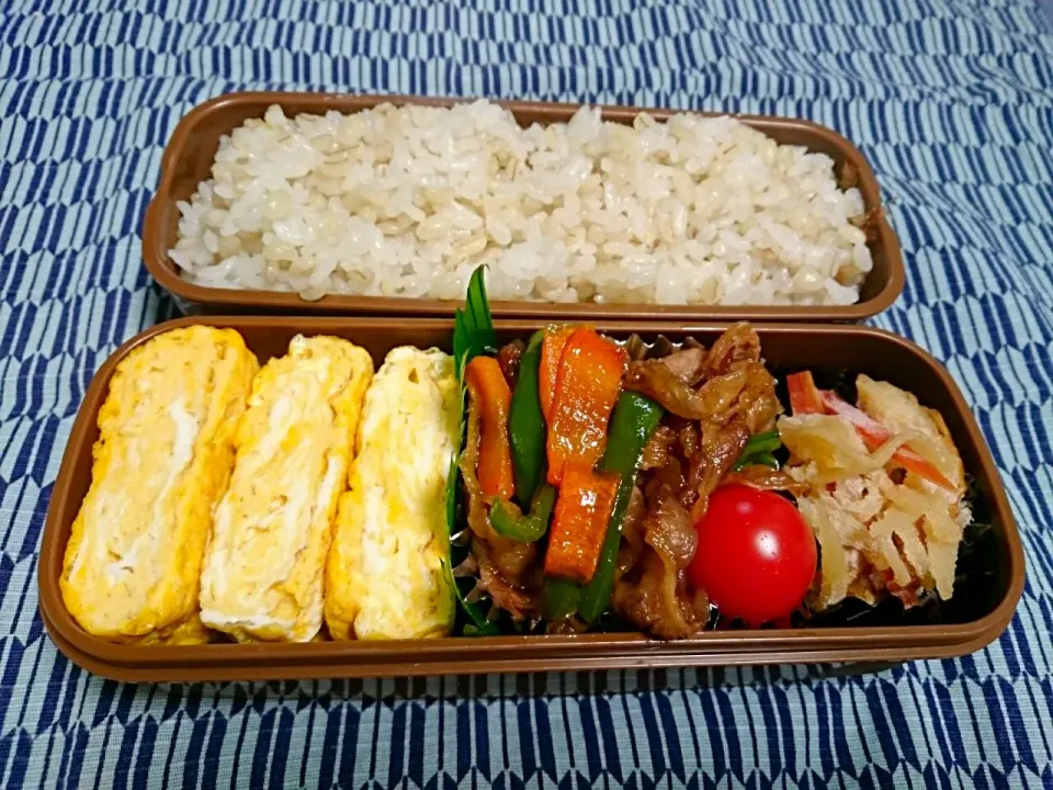 ☆今日のお弁当☆ パパのお弁当作り始めました。|hamamaさん