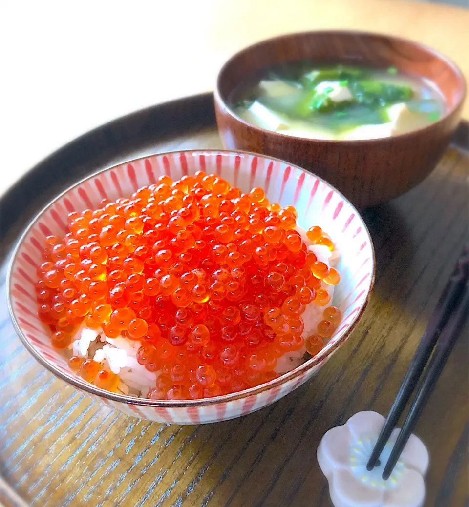 Snapdishの料理写真:朝ごはんを食べよう🙆‍♀️いくら丼で朝ごはん🐟✨|あしゃぱんさん