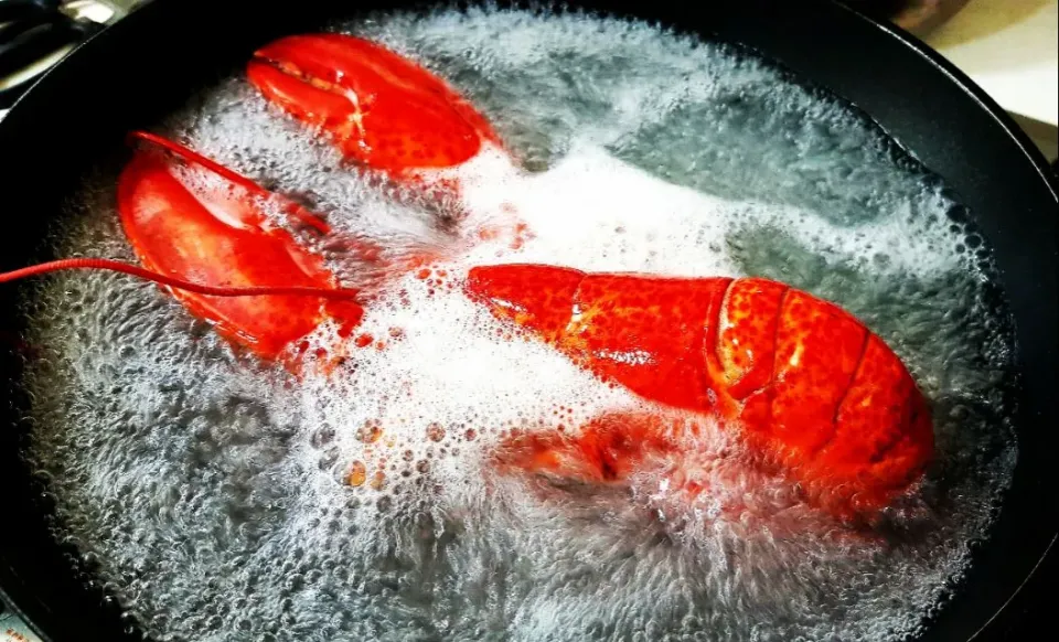 lobster in Jacuzzi|steven z.y.さん