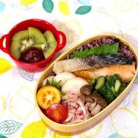 本日のお弁当（2019/02/01）|のっちさん