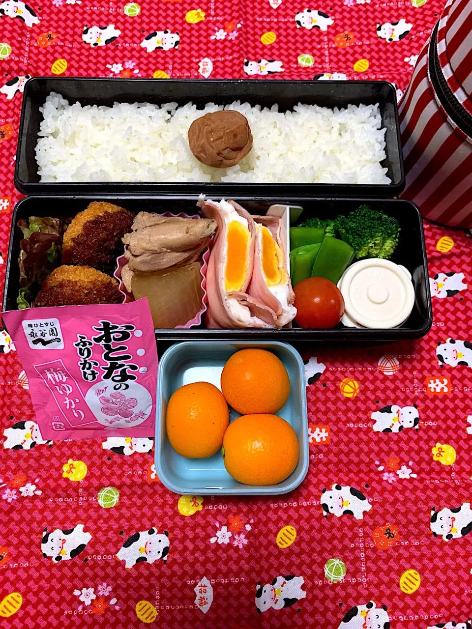 娘のお弁当2/1|iguigupopさん