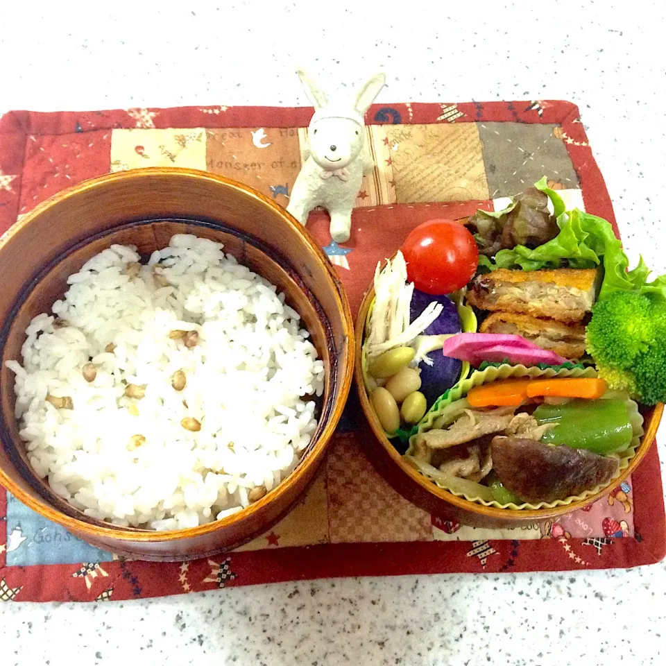 Snapdishの料理写真:今日のお弁当😊 #丸弁当  #わっぱ弁当  #夫弁当  #地味弁当|naonaomimichanさん