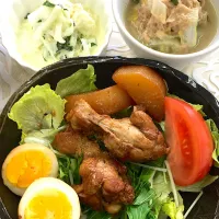 Snapdishの料理写真:鶏肉のさっぱり煮|mokoさん