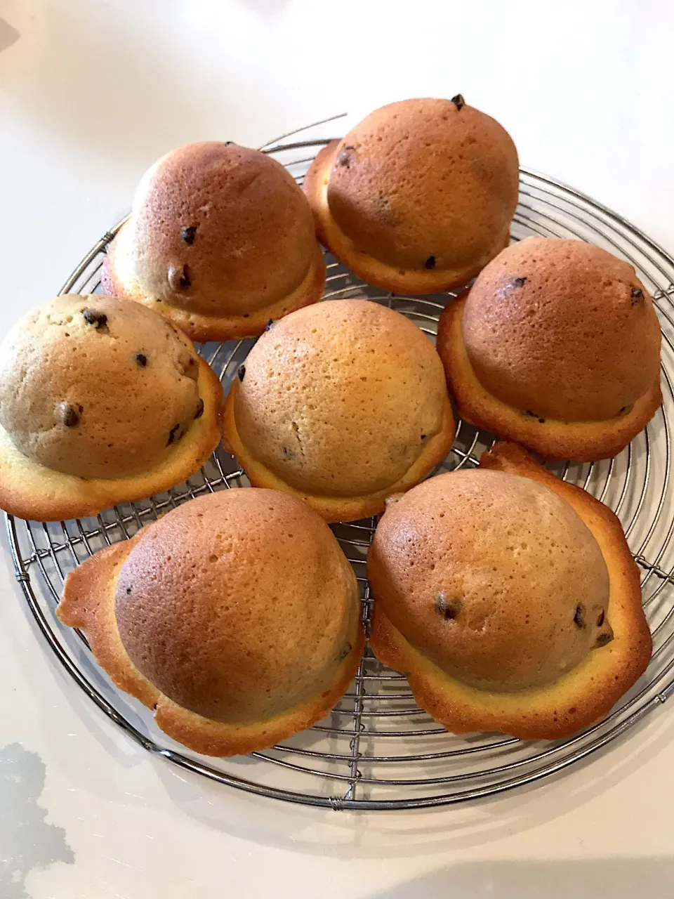 スイートブール💞
生地はカフェオレ
チョコチップ入り|☆Kinuyo☆さん