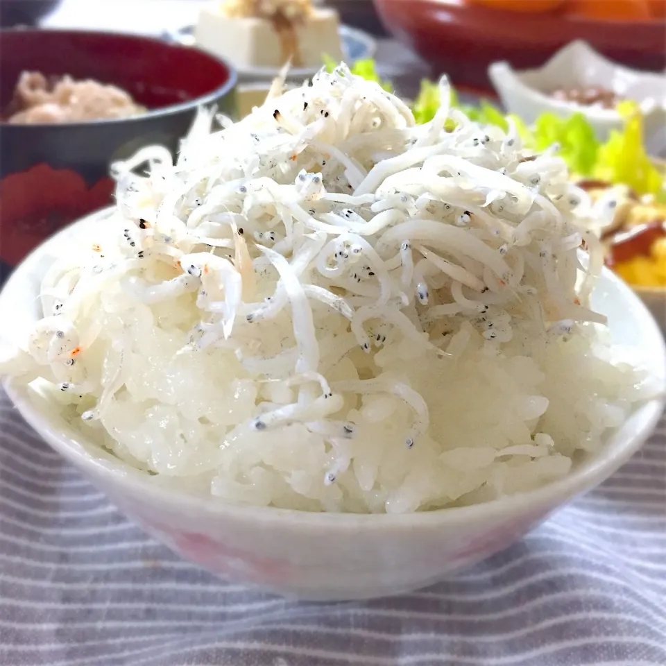 炊きたてご飯🍚にしらすサイコー😆|ゆかりさん