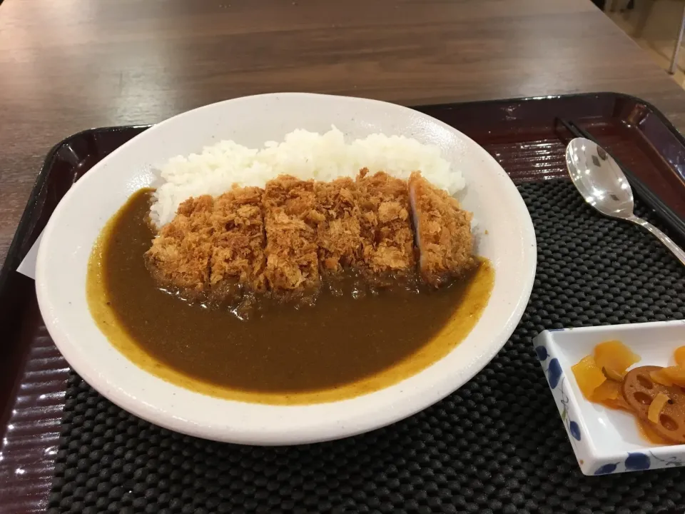 かつカレー590円|PegaOさん