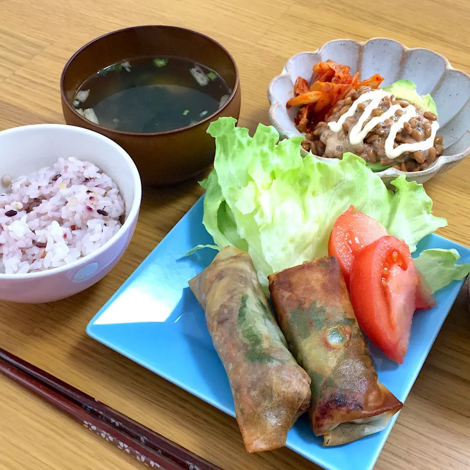 揚げ春巻きでお昼ご飯🍚✨|りりさん