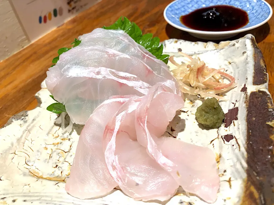 長崎産アオハタの刺身🐟|buhizouさん