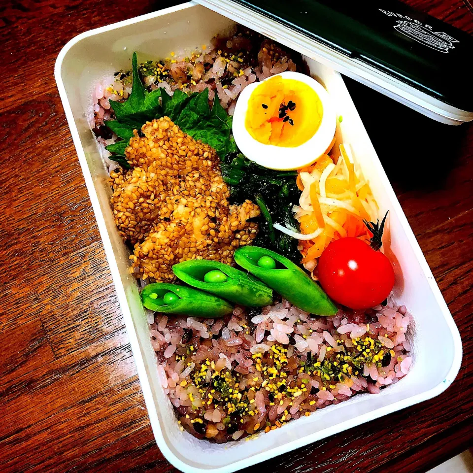 旦那弁当:白ごまカツ弁当
#胡麻
#ささみ
#なます
 #ほうれん草の胡麻和え|SaaOさん