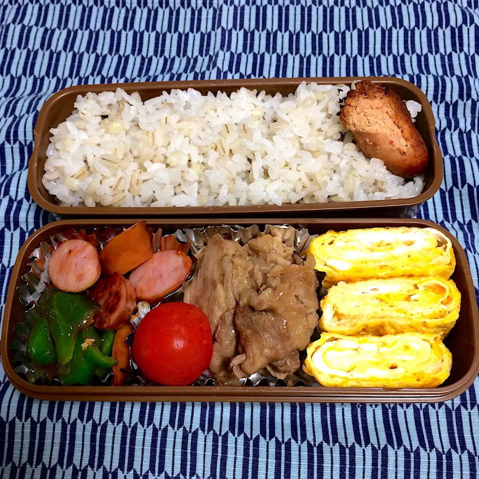 Snapdishの料理写真:☆今日のお弁当☆  パパのお弁当作り始めました。|hamamaさん