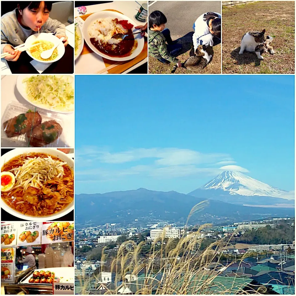 Snapdishの料理写真:Food court lunch🍴ﾌｰﾄﾞｺｰﾄdeお土産get&lunchtime|🌈Ami🍻さん