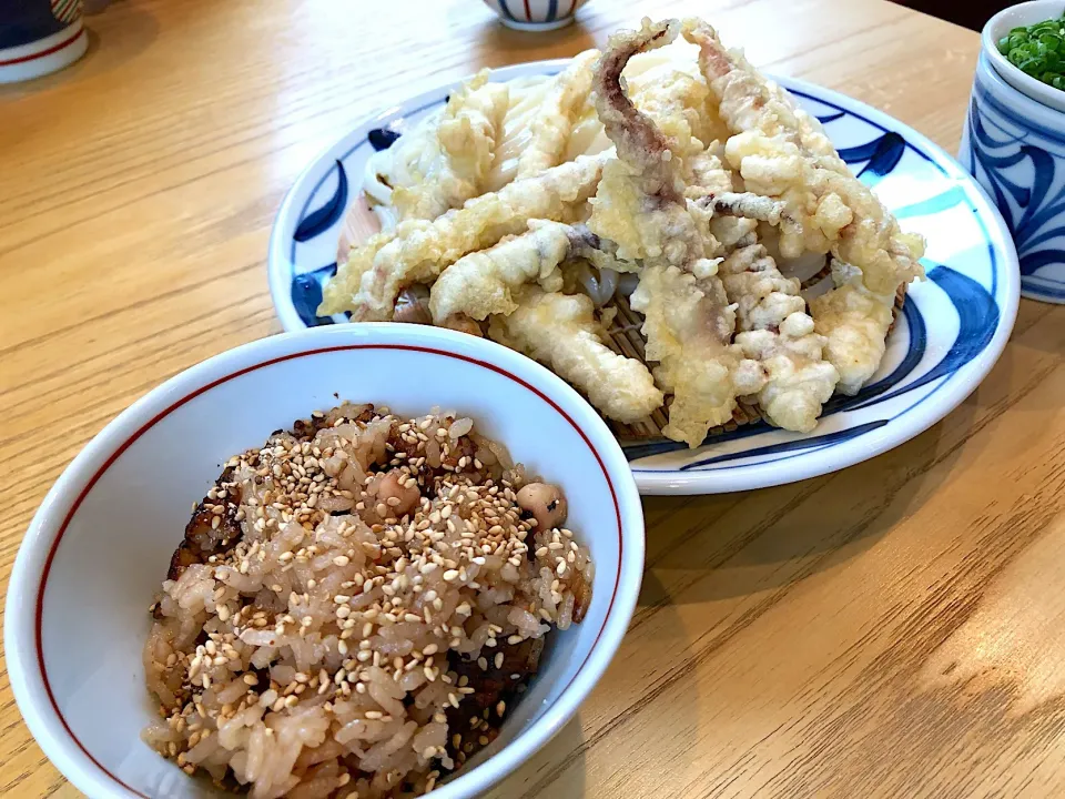 いか天ざるうどん、蛸飯セット🐙|buhizouさん