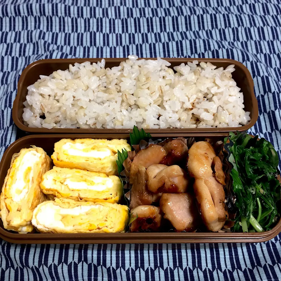 ☆今日のお弁当☆  パパのお弁当作り始めました。|hamamaさん