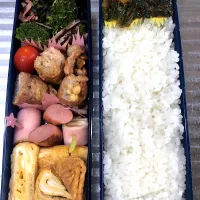 Snapdishの料理写真:お弁当|まなちゃんさん