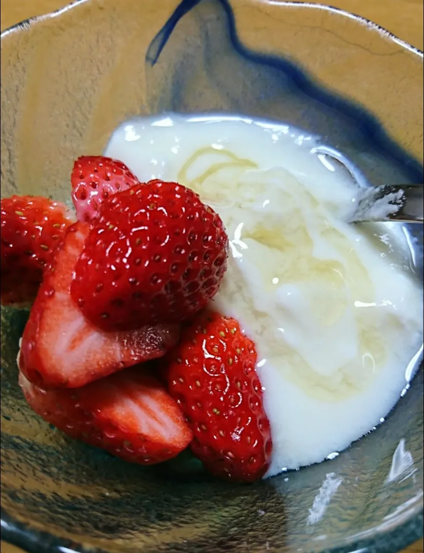 紅ほっぺ🍓とヨーグルト&ハチミツ🍯|しまだ ちえこさん