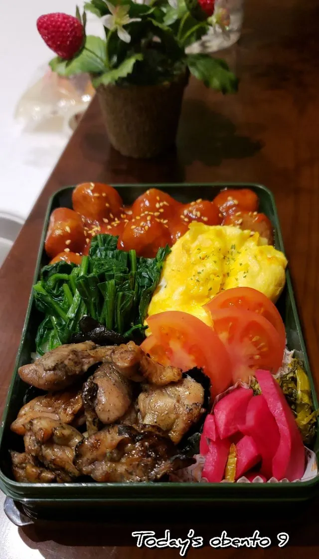 #わが家の働く男弁当
土曜日‥#息子弁当‥                                  彩りのっけ盛お弁当☺|kimikimikitchenさん