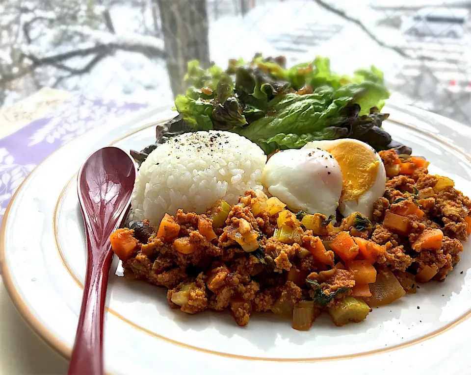 Snapdishの料理写真:昼ごはん  高野豆腐のドライカレー🍛|砂雪さん