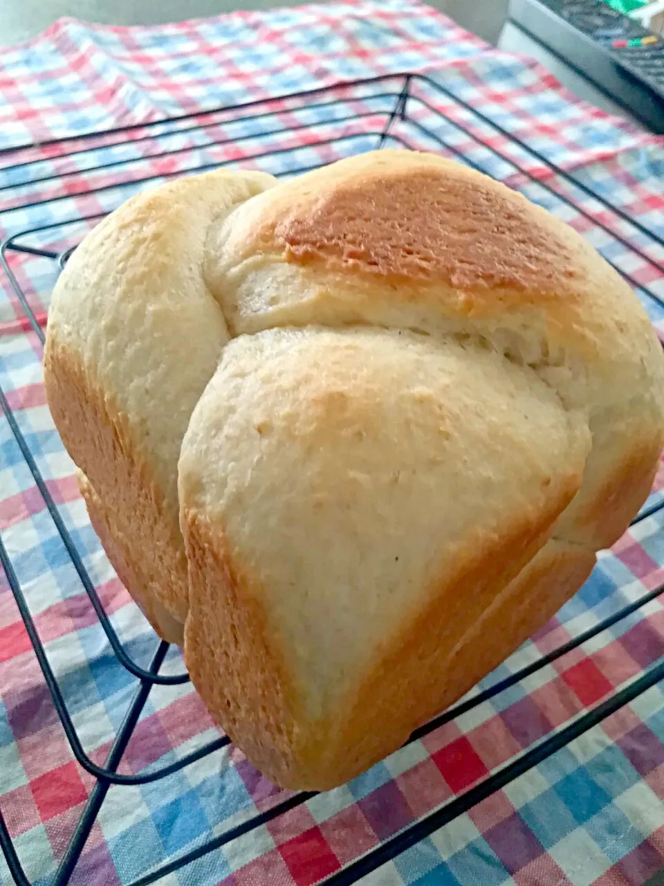 Snapdishの料理写真:角丸🍞我慢が足りないオートミールの三つ編み角丸|cocco+さん