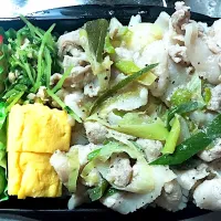 Snapdishの料理写真:お弁当記録🍴|しみこさん