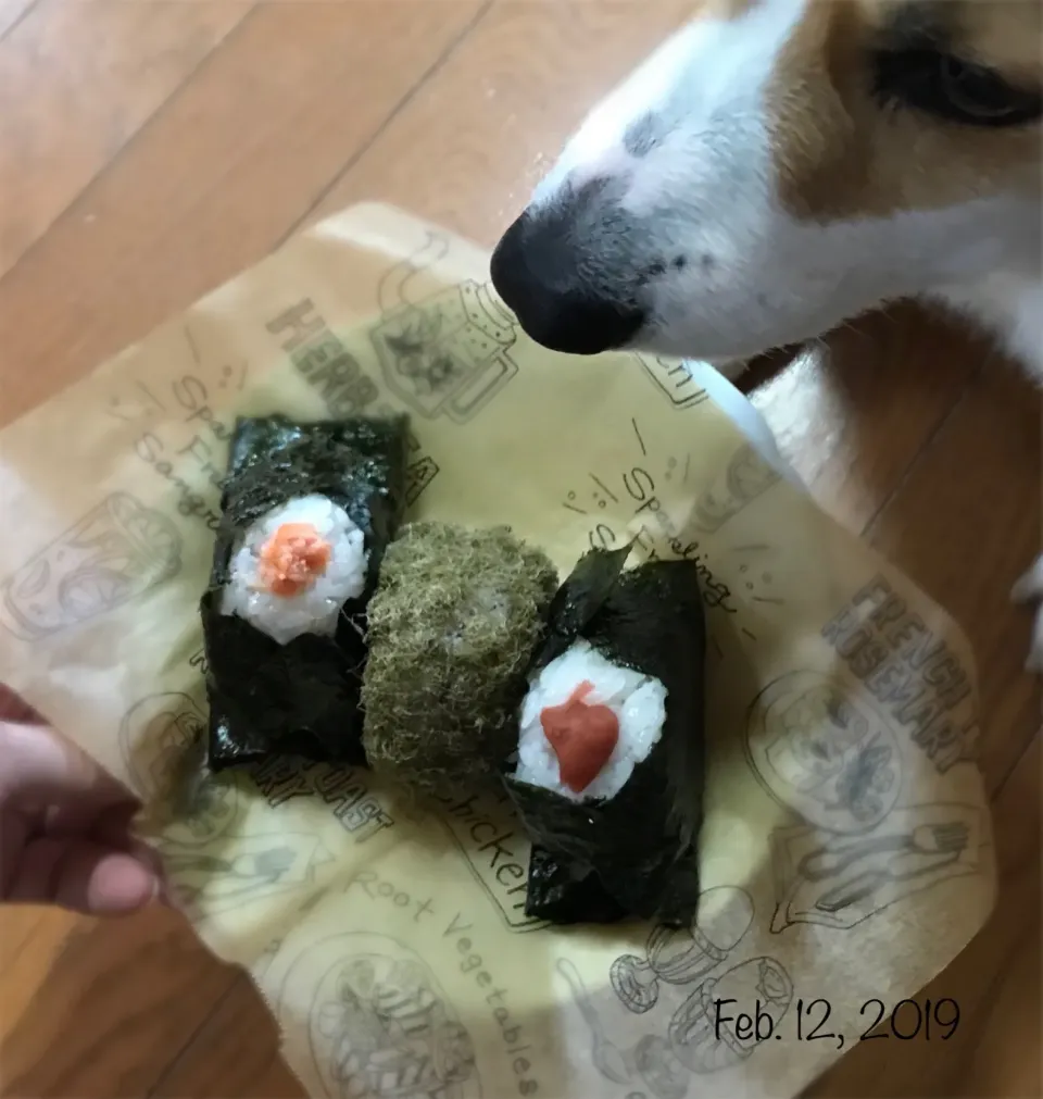 Snapdishの料理写真:男子高校生弁当|mikiさん