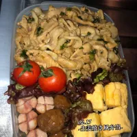 Snapdishの料理写真:-生姜焼き風弁当-|蓮mamaさん